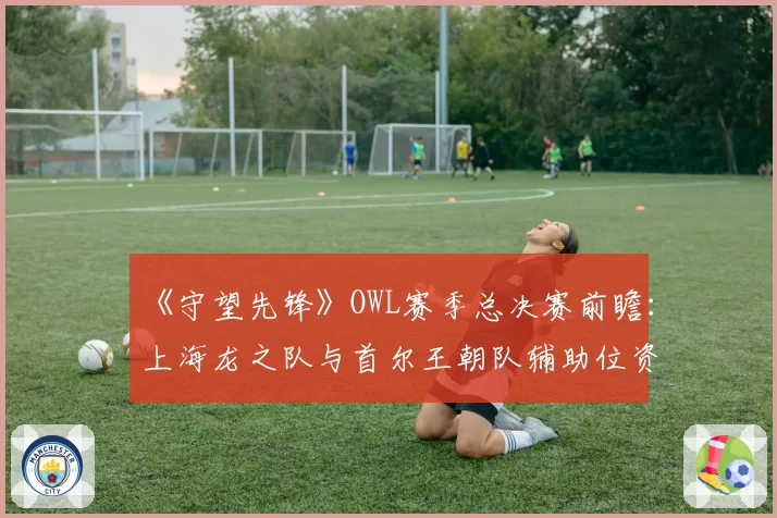 《守望先锋》OWL赛季总决赛前瞻：上海龙之队与首尔王朝队辅助位资源分配对比