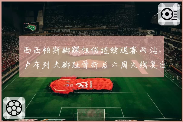 西西帕斯脚踝扭伤连续退赛两站，卢布列夫脚趾骨折后六周火线复出