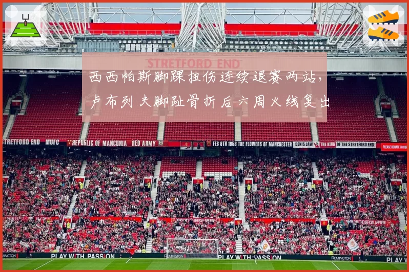 西西帕斯脚踝扭伤连续退赛两站，卢布列夫脚趾骨折后六周火线复出