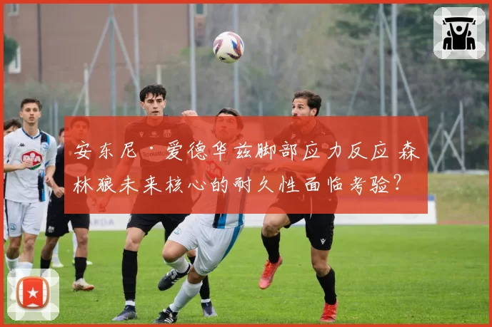 安东尼·爱德华兹脚部应力反应 森林狼未来核心的耐久性面临考验？