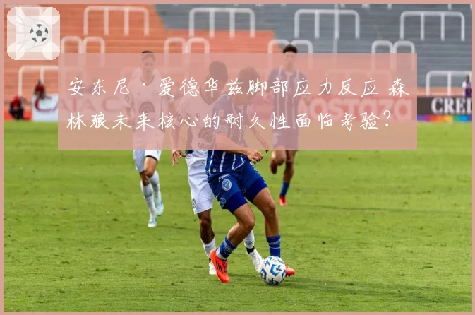 安东尼·爱德华兹脚部应力反应 森林狼未来核心的耐久性面临考验？