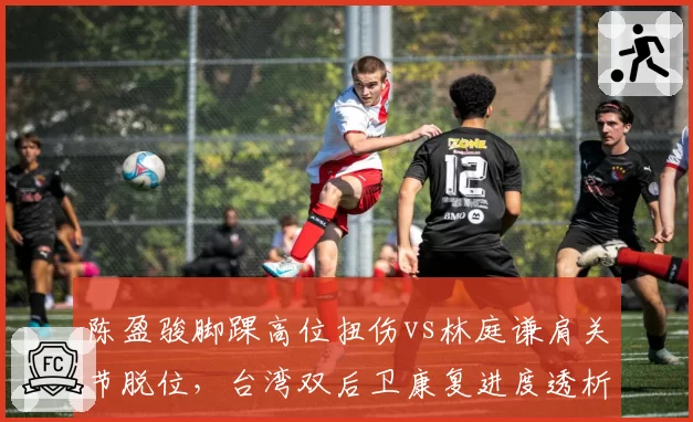 陈盈骏脚踝高位扭伤vs林庭谦肩关节脱位,台湾双后卫康复进度透析